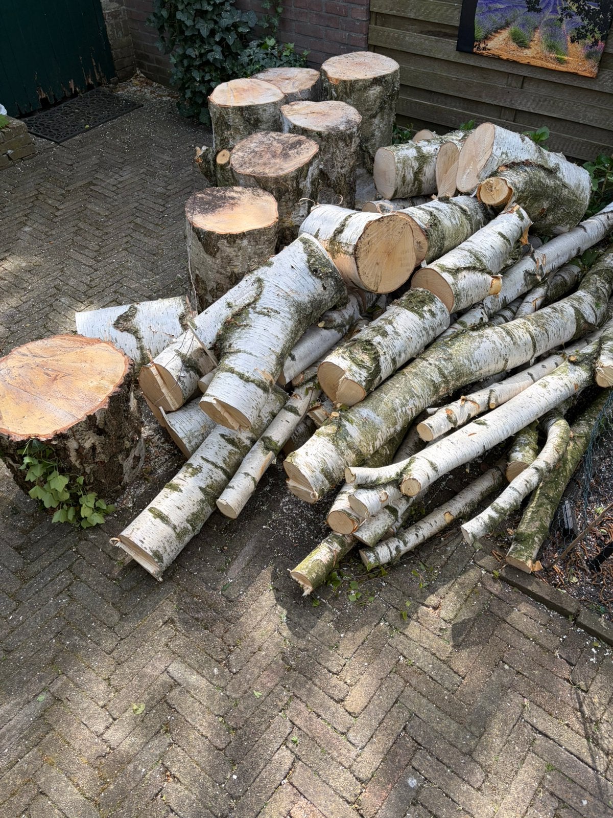 Berk hout, Minder dan 3 m³, Ophalen, Berkenhout, Stammen