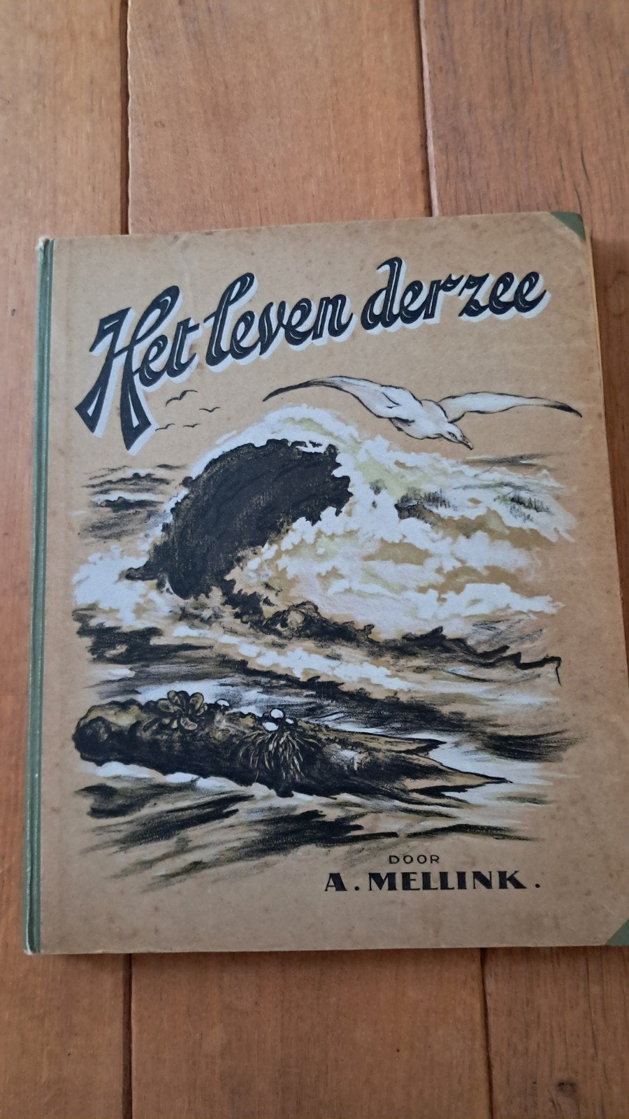 Het Leven der Zee - A. Mellink (1929), Ophalen, Gelezen, Overige onderwerpen, A. Mellink