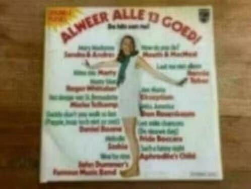 Lp : alweer alle 13 goed!, Cd's en Dvd's, Vinyl | Verzamelalbums, Ophalen of Verzenden, Gebruikt, 12 inch, Pop