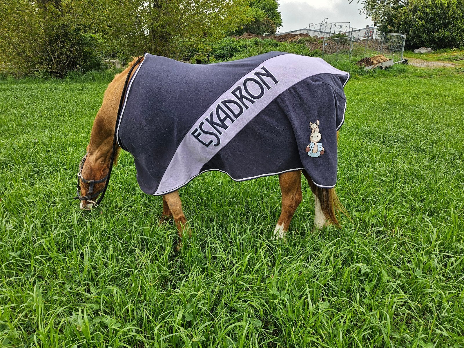 eskadron nici deken 175, Dieren en Toebehoren, Paarden en Pony's | Dekens en Dekjes, Ophalen of Verzenden, Gebruikt