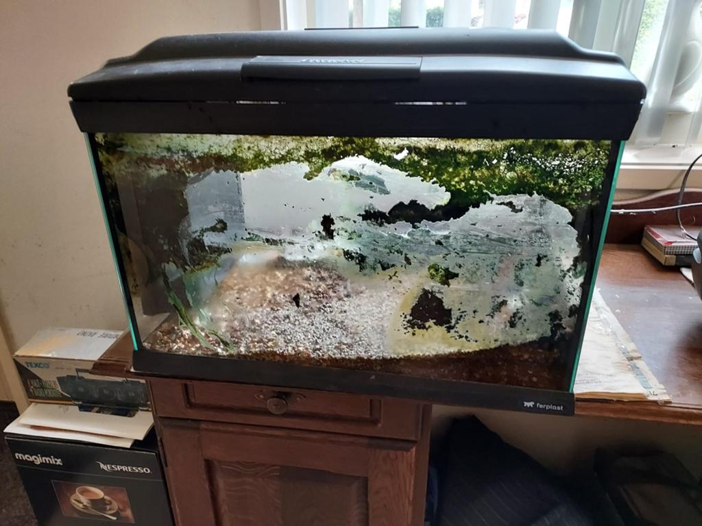 Cayman Aquarium, Dieren en Toebehoren, Vissen | Aquaria en Toebehoren, Ophalen, Verwarming, Gebruikt, Grind, Zand of Voedingsbodem