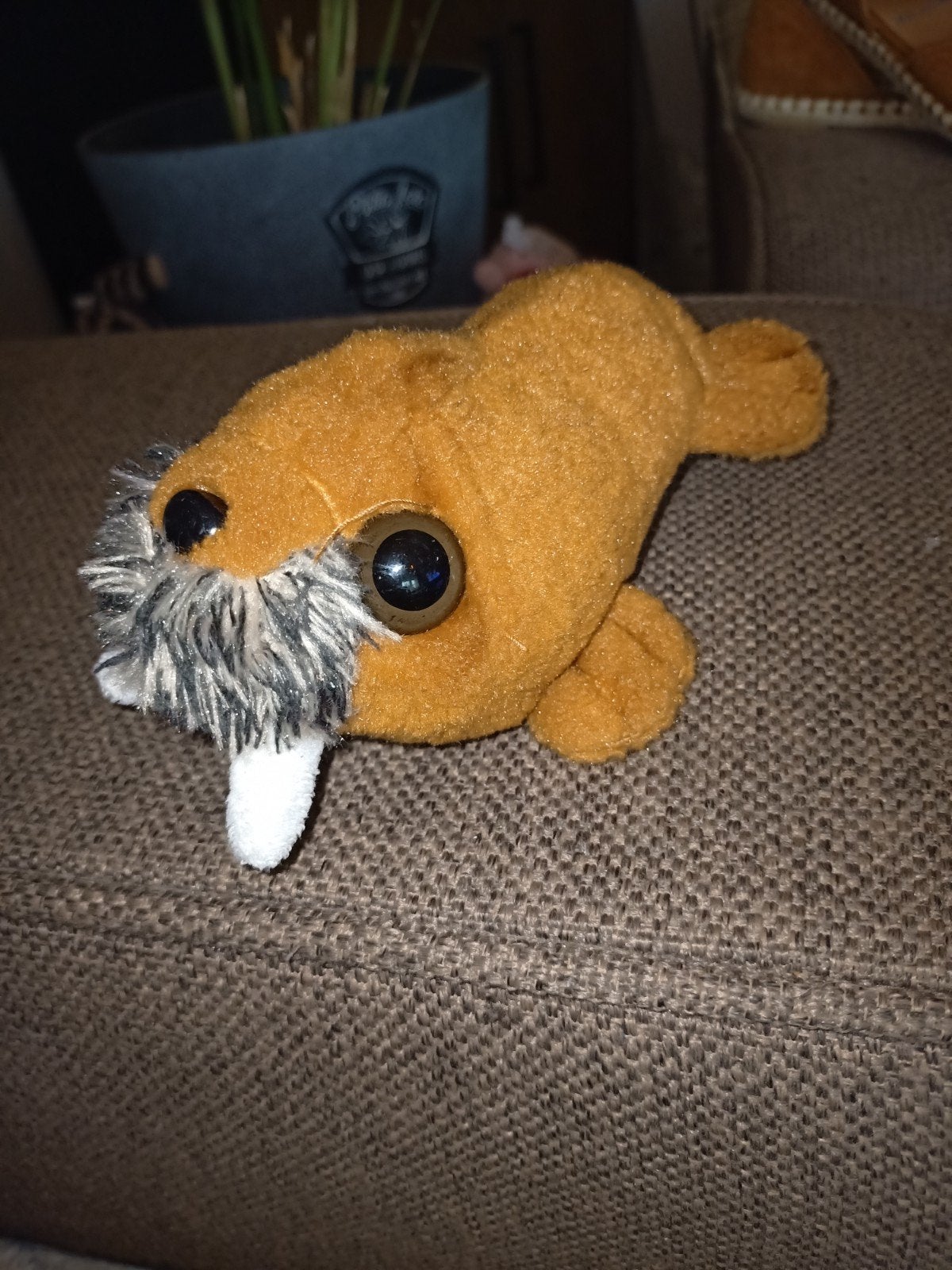 Dolfinarium Walrus knuffeltje, Overige merken, Overige typen, Ophalen of Verzenden, Zo goed als nieuw