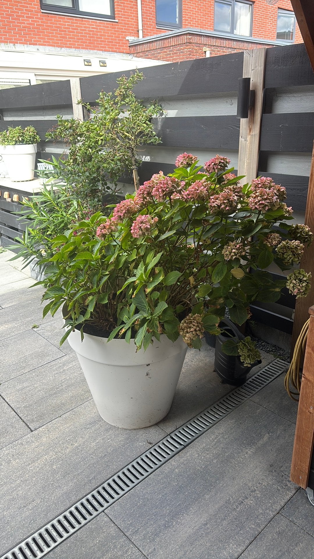 Grote plantenpot wit, Tuin en Terras, Overige soorten, Minder dan 100 cm, Zomer, Ophalen