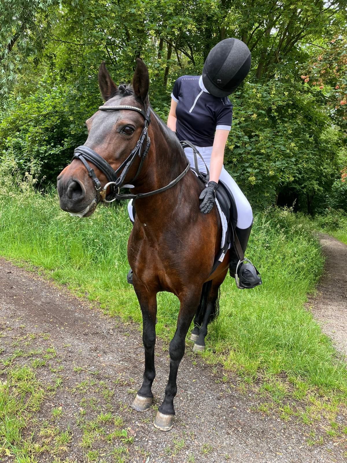 Fantastische Kinderpony, C pony, Penny, Merrie, 11 jaar of ouder