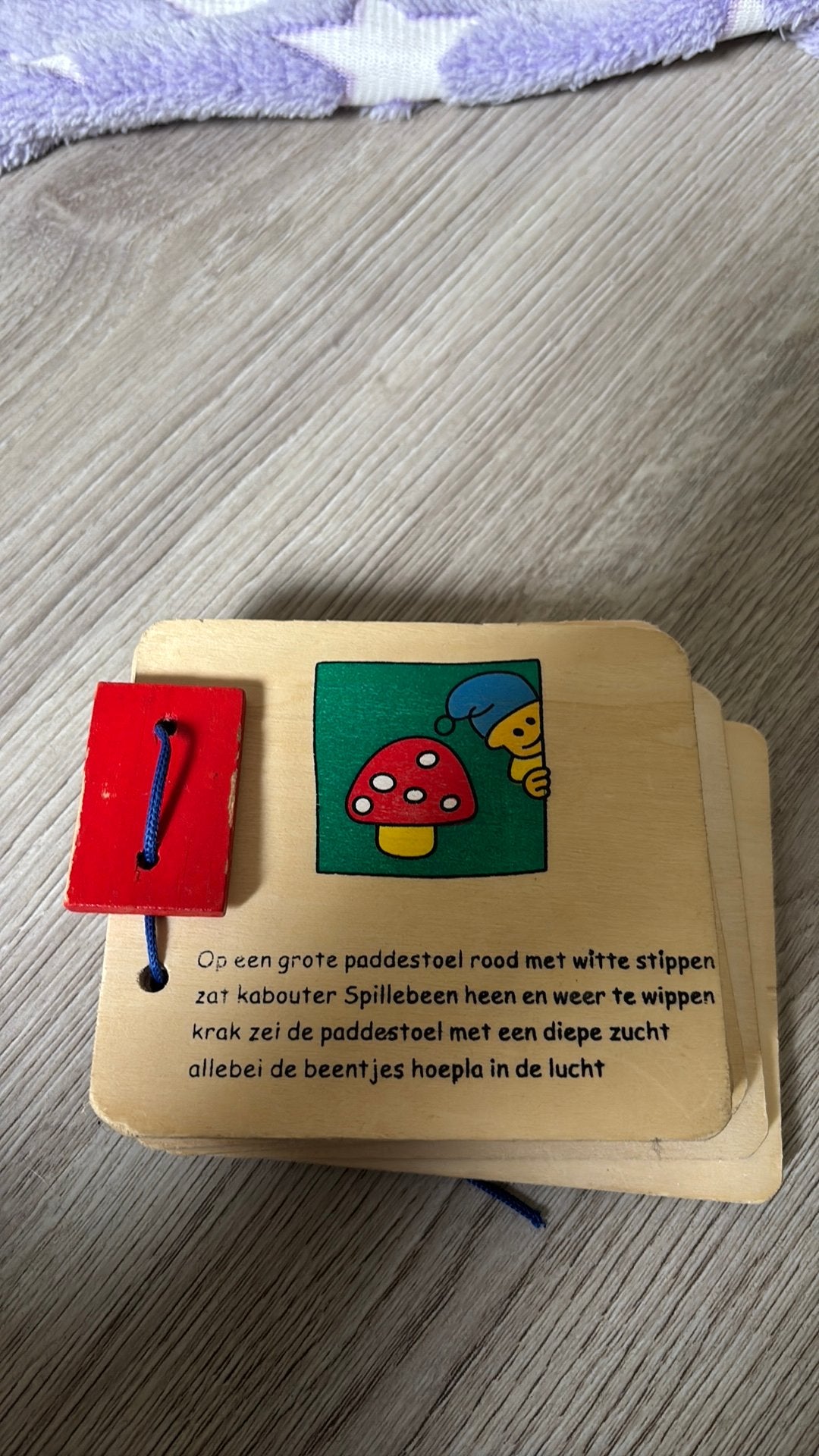 Houten liedjes boekjes, Ophalen of Verzenden, Zo goed als nieuw, Overige typen