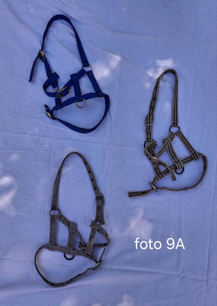 Paarden/ pony  halsters en vliegen masker, Ophalen, Overige soorten