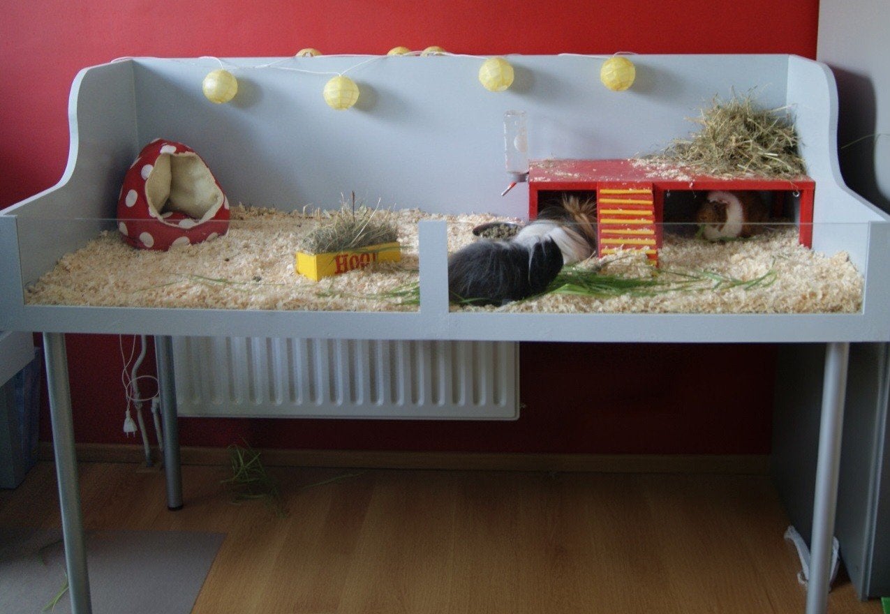 Groot caviahok op hoogte + toebehoren, Dieren en Toebehoren, Ophalen, 90 cm of meer, Hok, Cavia