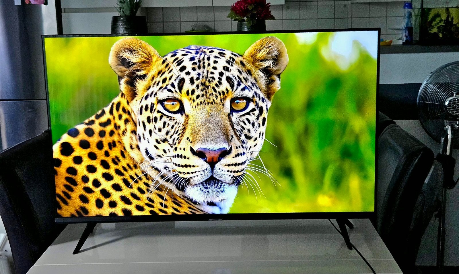 Samsung smart tv 43inch (2023), Ophalen, 50 Hz, Zo goed als nieuw, Samsung