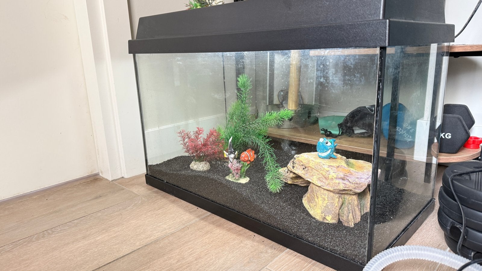 Aquarium 60x30x42 LxBxH, Dieren en Toebehoren, Ophalen, Gebruikt, Gevuld zoetwateraquarium, Juwel