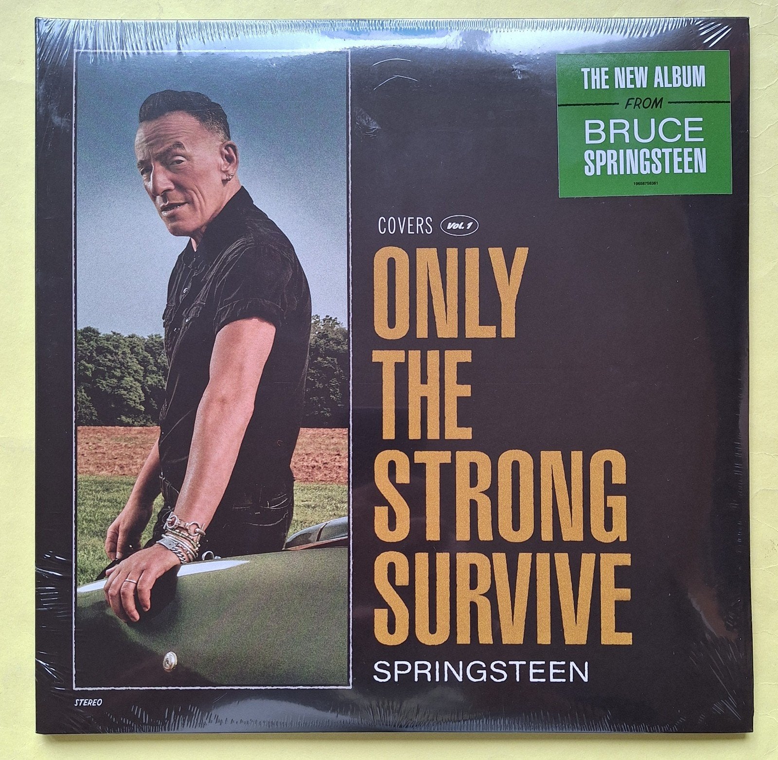 Bruce Springsteen - Only The Strong Survive (2LP), Pop, Geseald, Ophalen of Verzenden, 12 inch