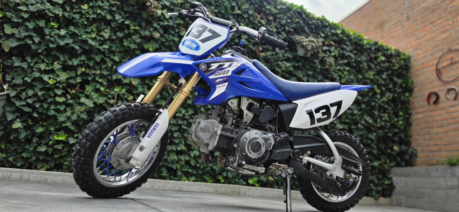 Yamaha TT-R50E, Ophalen, Gebruikt, Yamaha, Pitbike