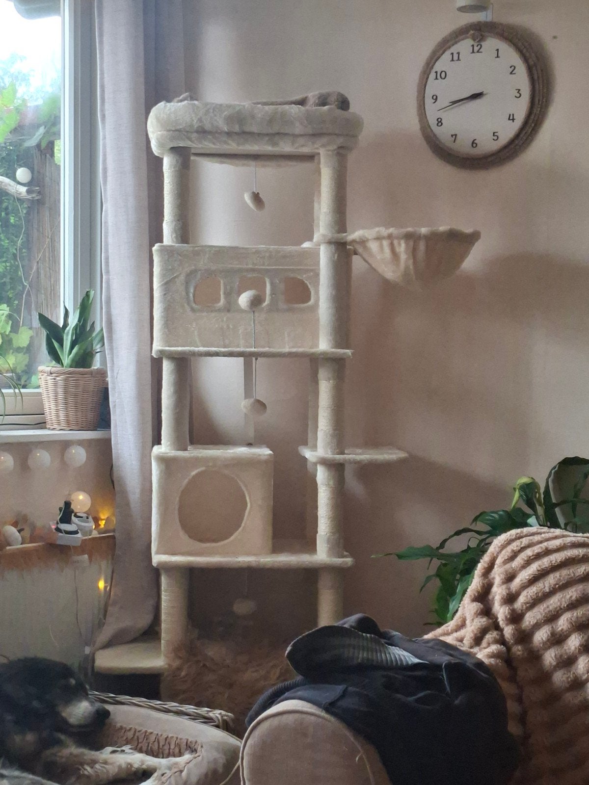 nieuw katten krabpaal, Dieren en Toebehoren, Ophalen, Nieuw
