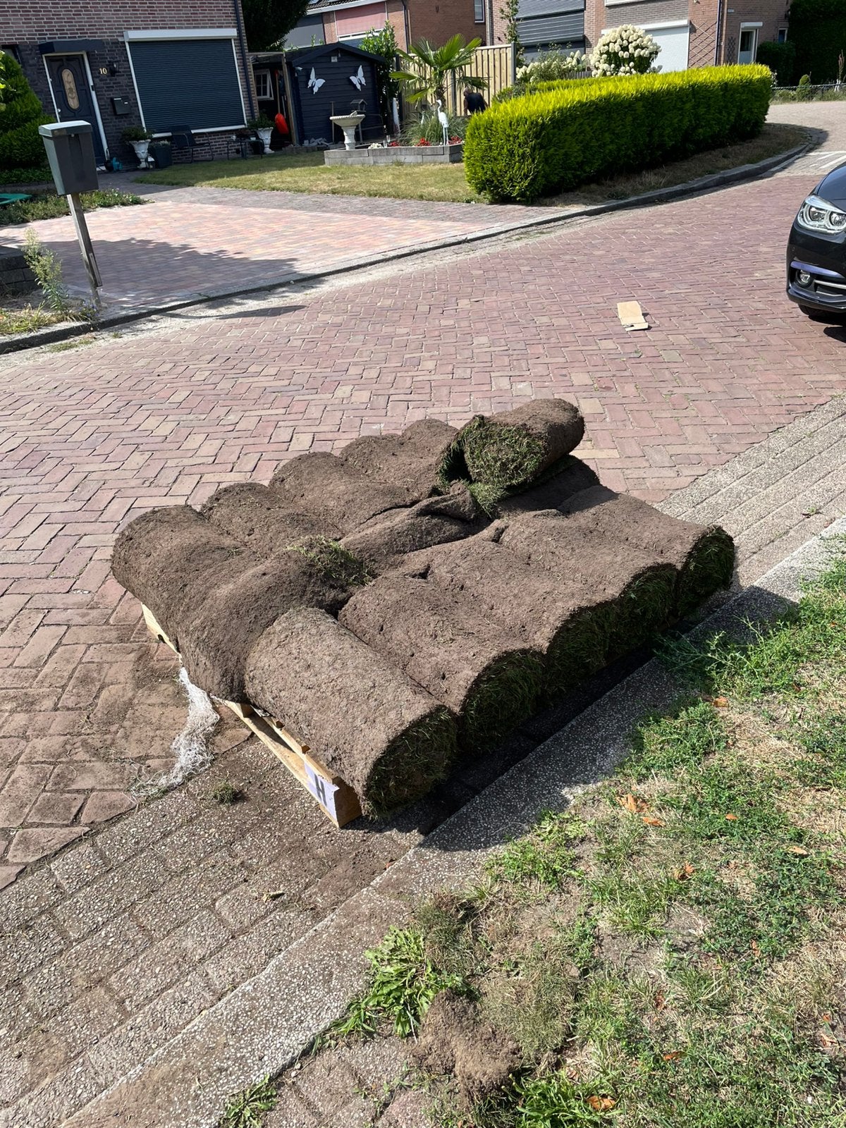 Gratis graszoden 14m2 14 rollen 0,40x 2,5m, Tuin en Terras, Gras en Kunstgras, Ophalen, Nieuw, 10 tot 20 m², Gras