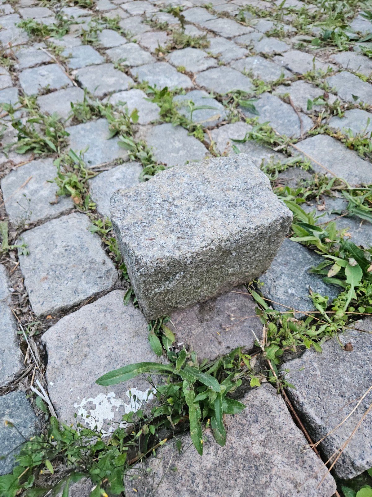 Oude kasseien / kinderkoppen voor terras of oprit, Tuin en Terras, Ophalen, Gebruikt, Overige typen, Natuursteen