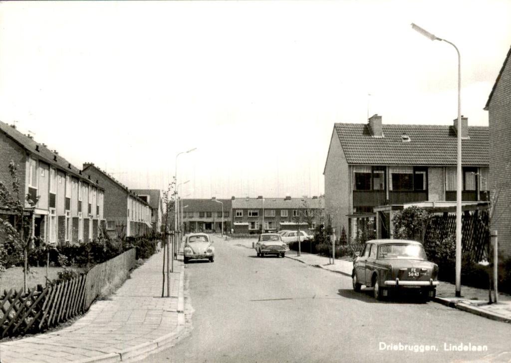 Driebruggen - Lindelaan - Straatzicht, Ophalen of Verzenden, 1980 tot heden, Gelopen, Noord-Brabant