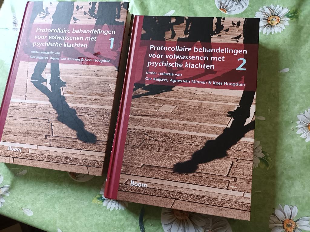 Protocollaire behandelingen volwassenen psychische klachten, Ophalen of Verzenden, Zo goed als nieuw, Sociale psychologie