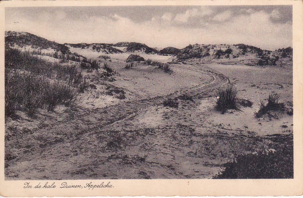 07570 Appelscha - In de kale Duinen - gel. 1937, Verzenden, 1920 tot 1940, Gelopen, Friesland