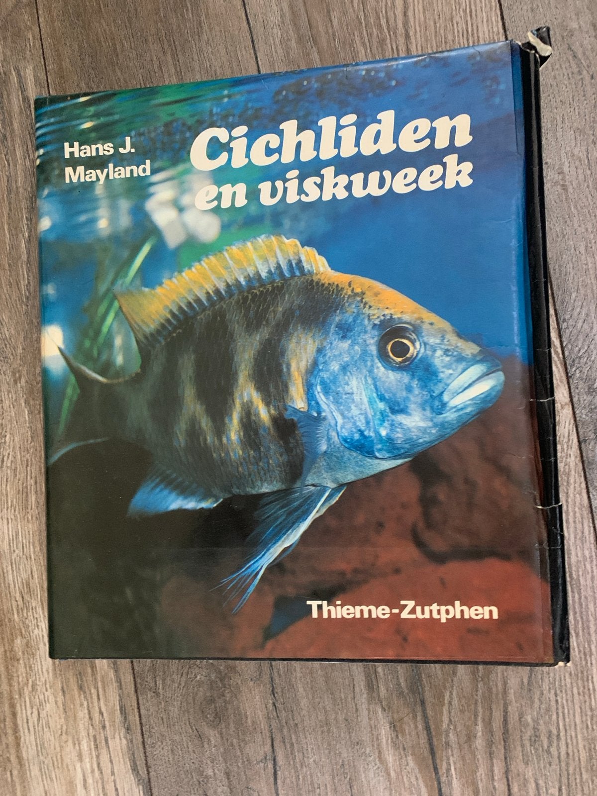 Cichliden en viskweek, Ophalen of Verzenden