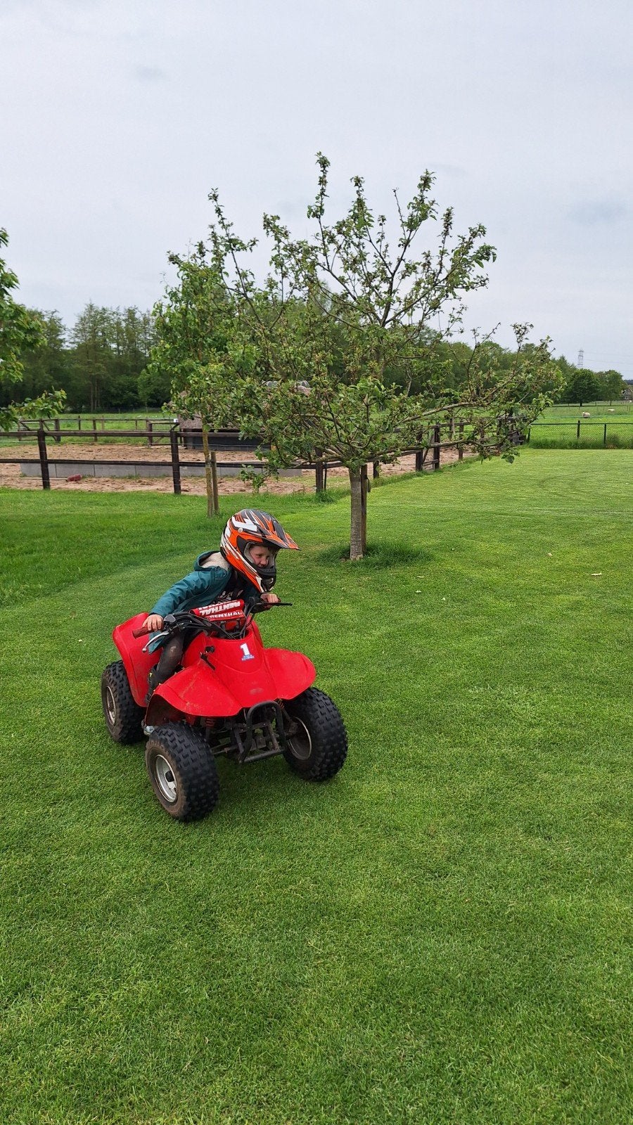 Kinderquad 50cc - Perfect voor jonge avonturiers!, 11 kW of minder