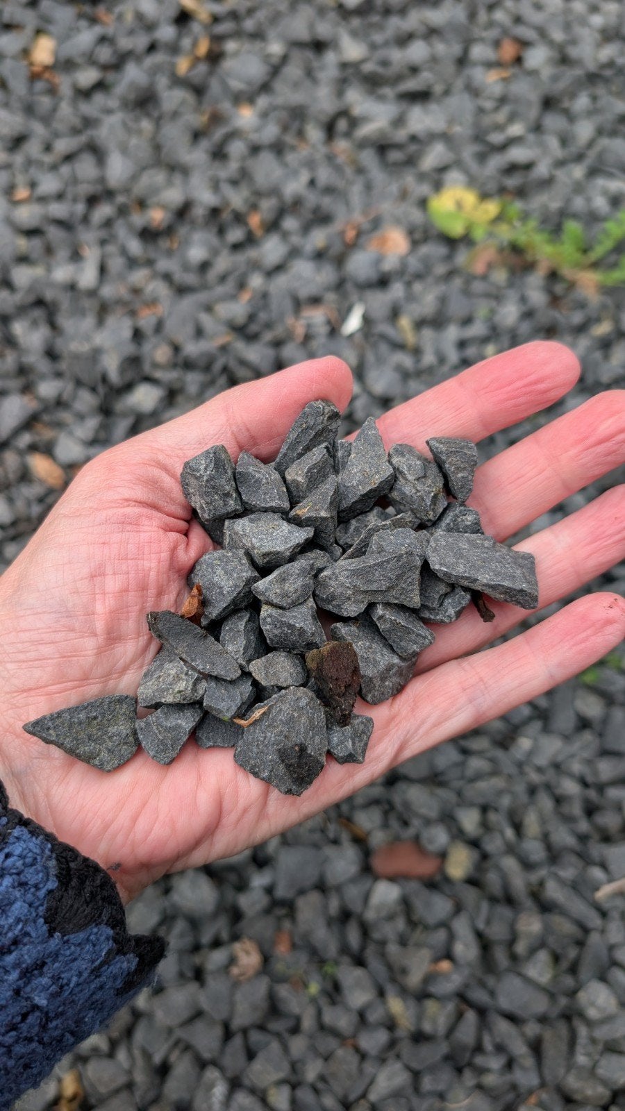 Siergrind zwart, Tuin en Terras, Ophalen
