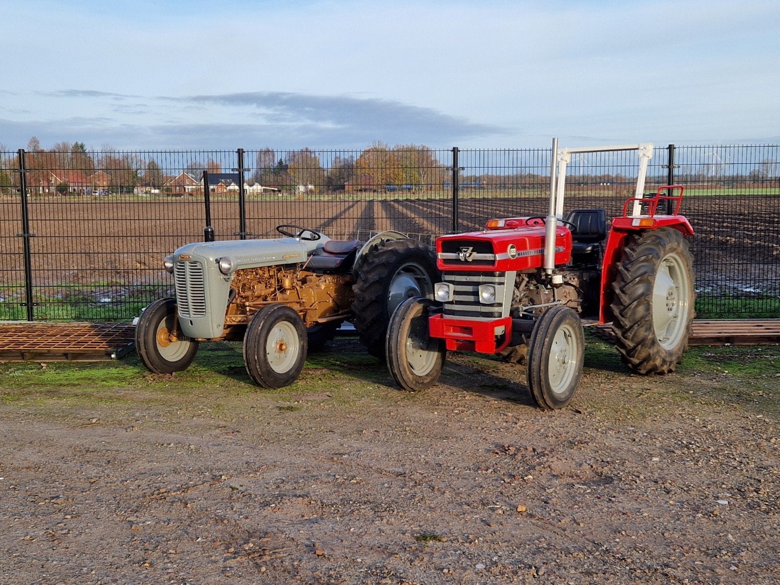 Massey Ferguson Goudbuik (1957) & 133 (jaren '70) - Hobby Tr, Ophalen of Verzenden, Tot 80 Pk, Massey Ferguson