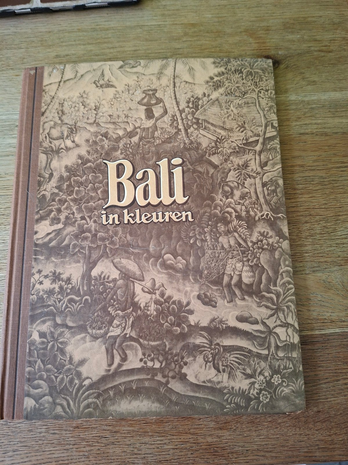 Bali in Kleuren - Piet Bakker (Douwe Egberts uitgave), Boeken, Piet Bakker, Ophalen of Verzenden, Reisgids of -boek, Azië