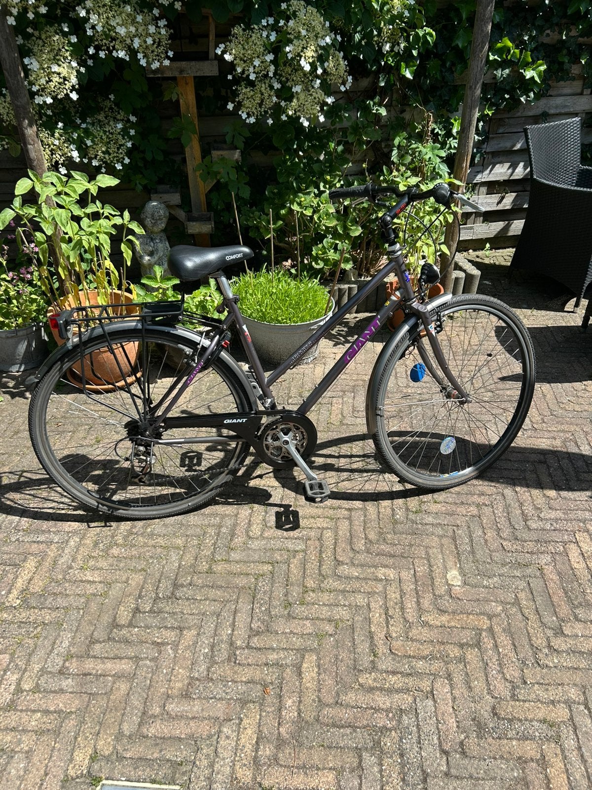 Giant Damesfiets - Perfect voor dagelijks gebruik, Ophalen, Gebruikt, Velgrem, Versnellingen