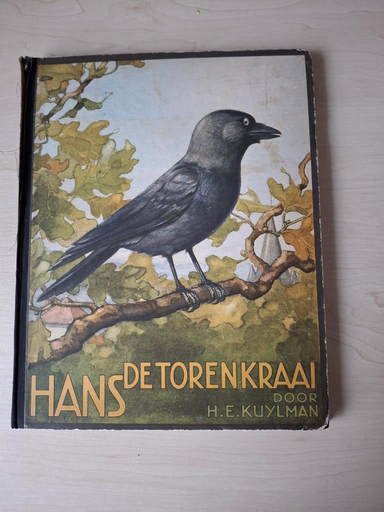 Hans de Torenkraai - H.E. Kuylman, Boeken, Ophalen of Verzenden, Gelezen, H.E. Kuylman, Fictie algemeen