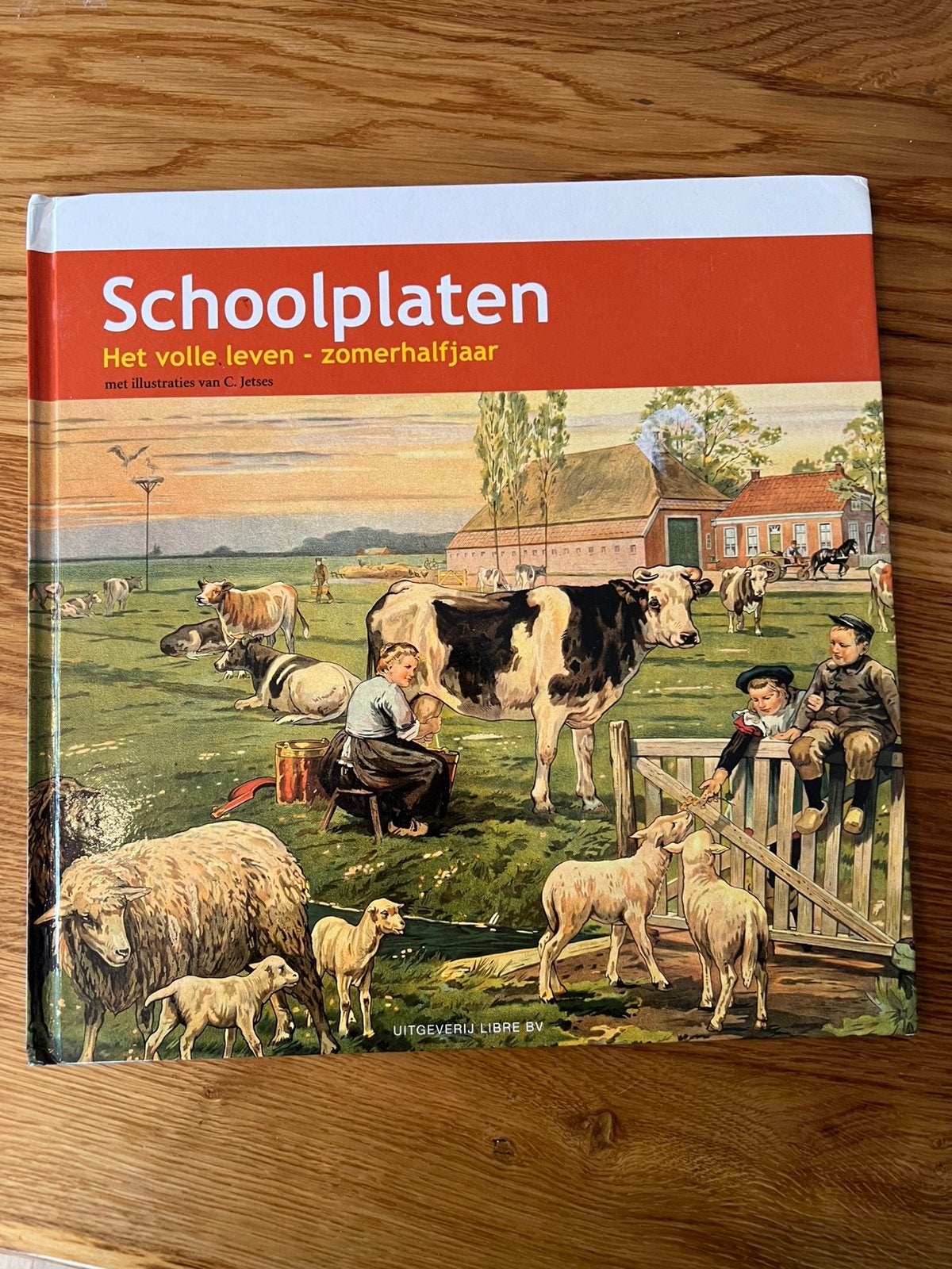 Schoolplaten - Het volle leven-zomerhalfjaar Cornelis Jetses, Ophalen of Verzenden, Geschiedenis