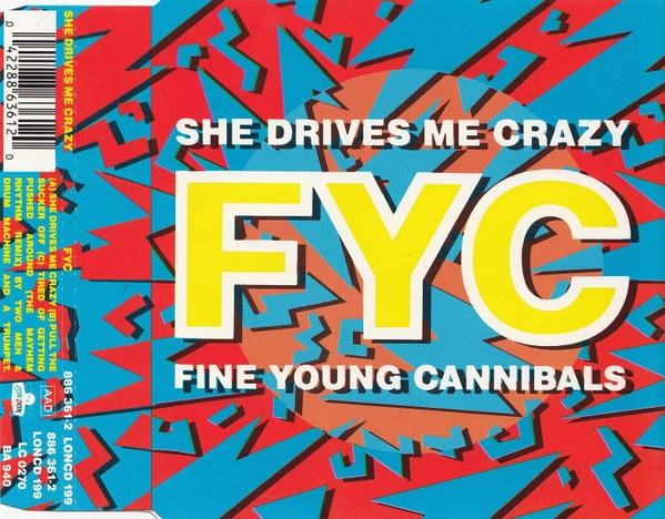 FINE YOUNG CANNIBALS CD SINGLE SHE DRIVES ME CRAZY, Ophalen of Verzenden, Zo goed als nieuw, Pop