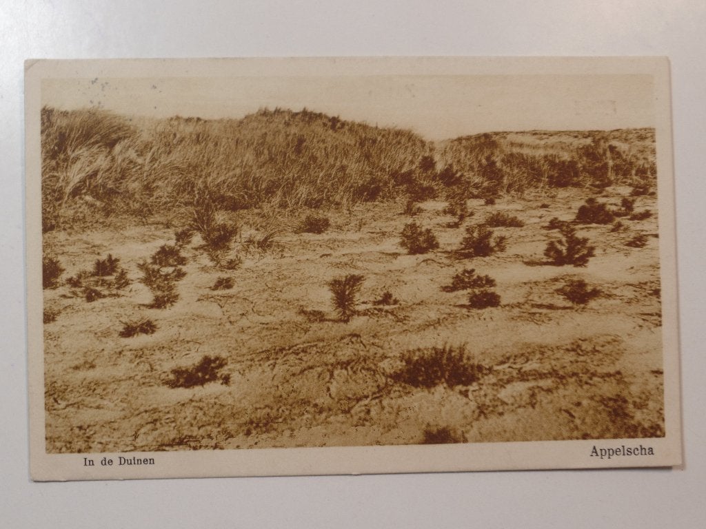 Appelscha kale duinen, Ophalen of Verzenden, 1920 tot 1940, Gelopen, Friesland