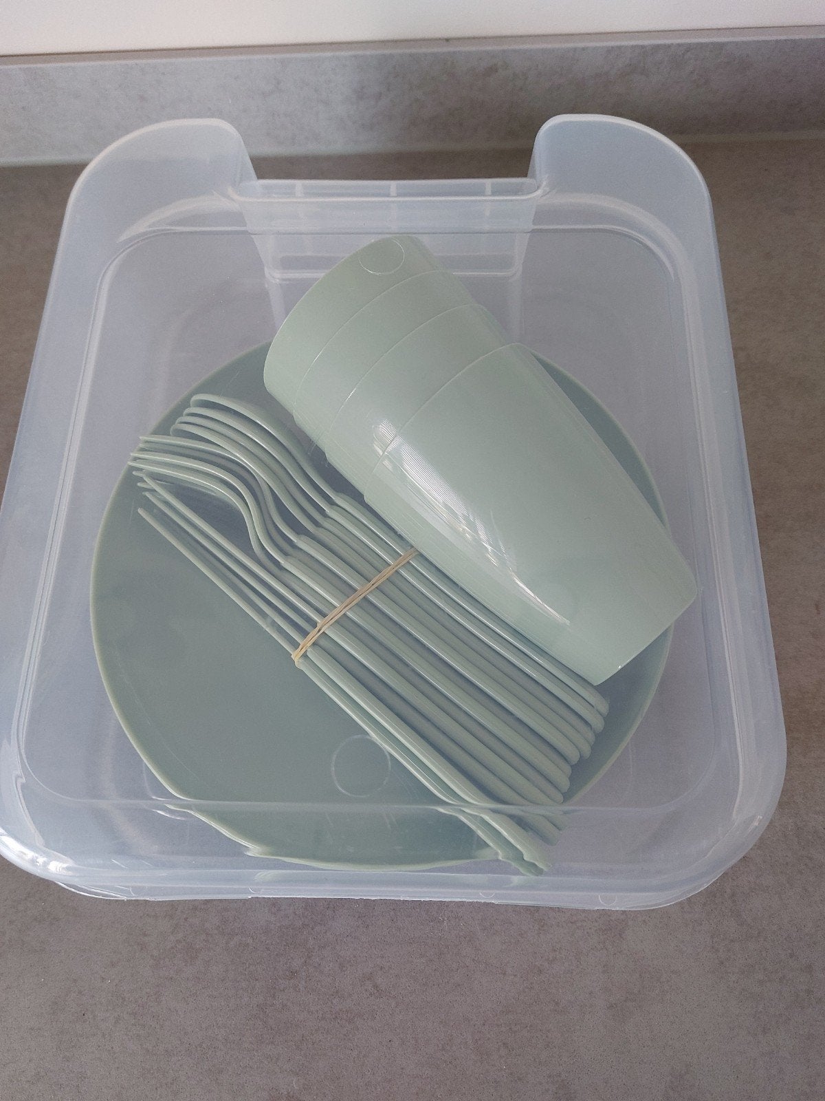 Picknickset - Borden, bekers, bestek in handige box, Ophalen of Verzenden, Nieuw