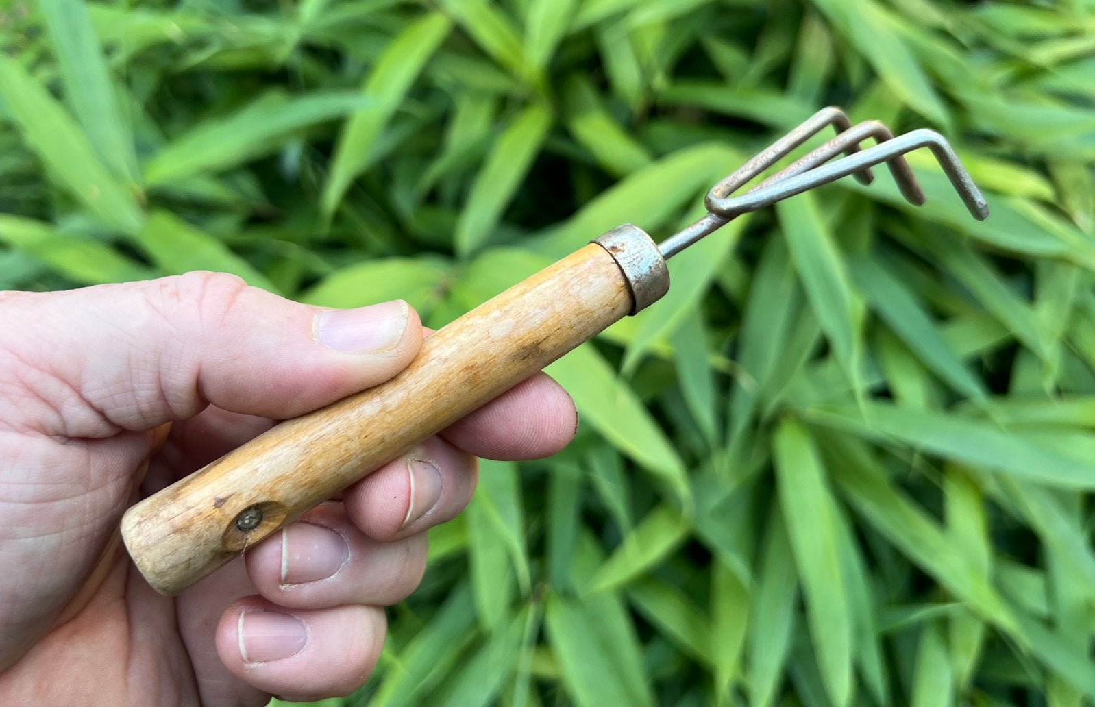 Bonsai Rake hout en metaal. Verpot/wortel haak., Ophalen of Verzenden, Zo goed als nieuw, Minder dan 20 mm
