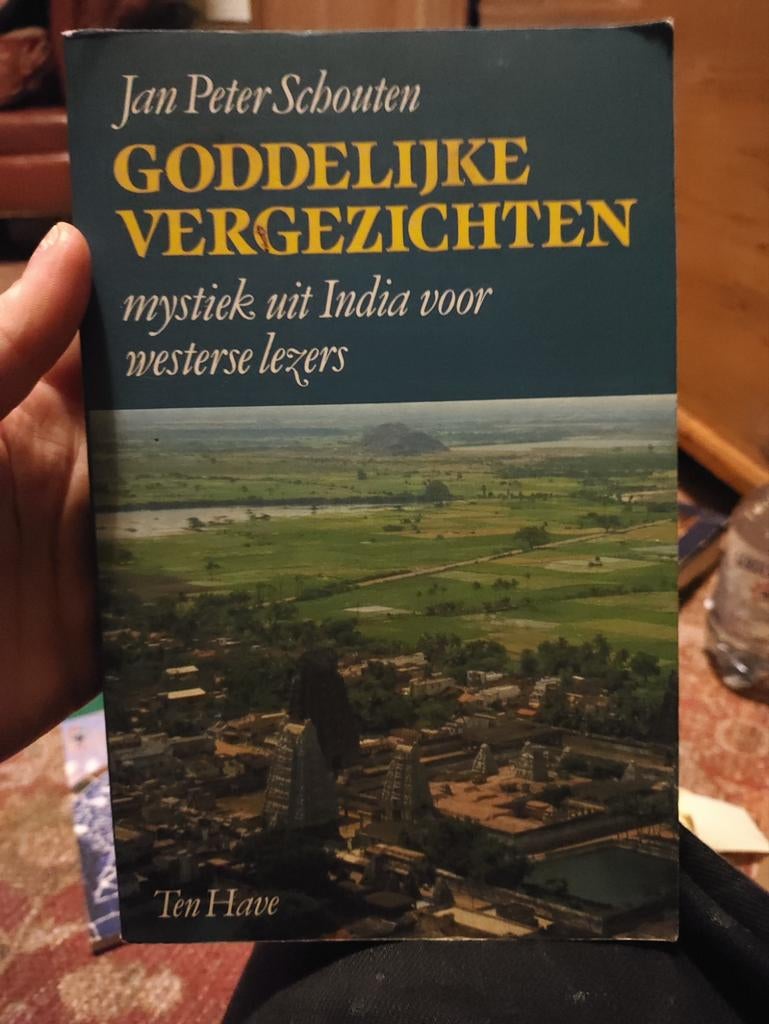 Goddelijke VergeZichten - Mystiek uit India (met potlood mar, Ophalen of Verzenden, Gelezen, Jan Peter Schouten, Hindoeïsme
