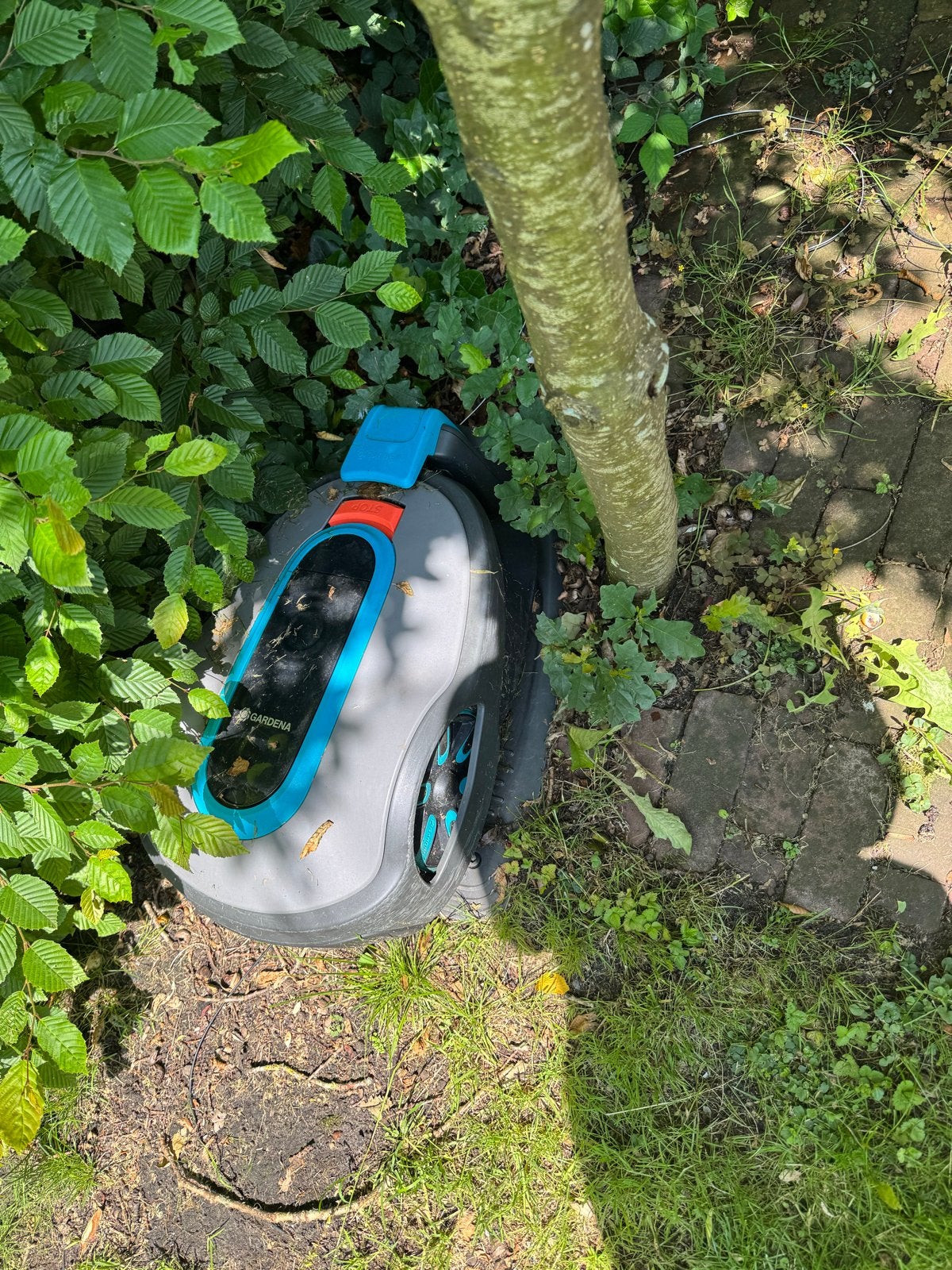 Gardena Robotmaaier - Automatisch en Efficiënt Maaien, Tuin en Terras, Ophalen of Verzenden, Gebruikt, 20 tot 25 cm, Bestuurbaar via app