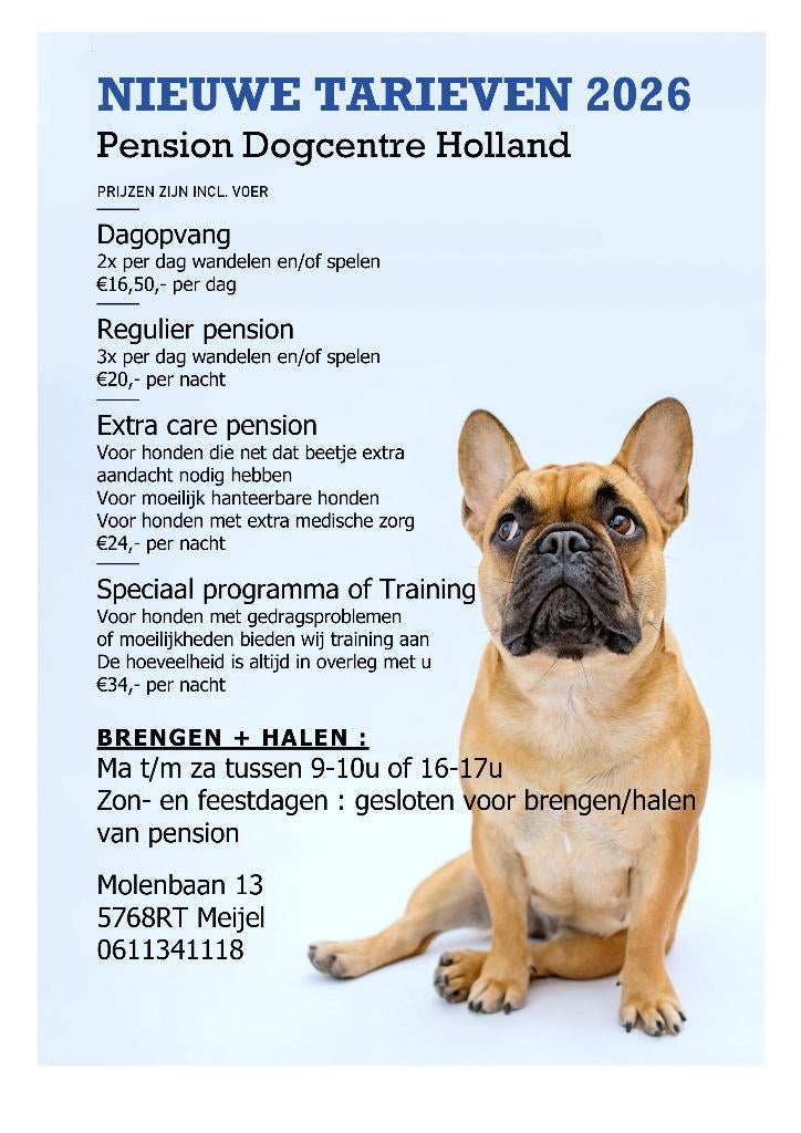 Hondenpension: Alle rassen welkom!