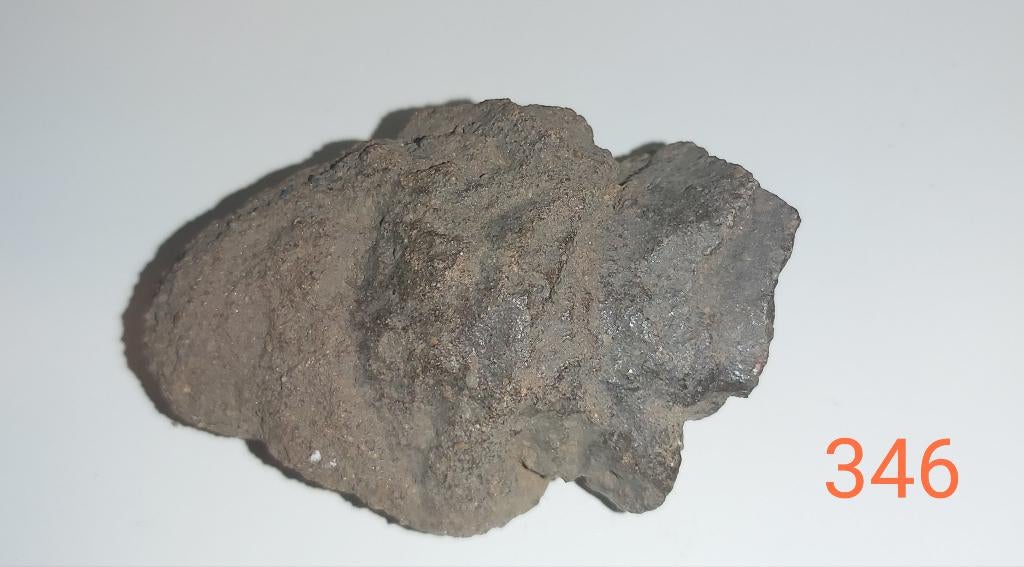 Porifera Sp. fossiel, Ophalen of Verzenden, Fossiel