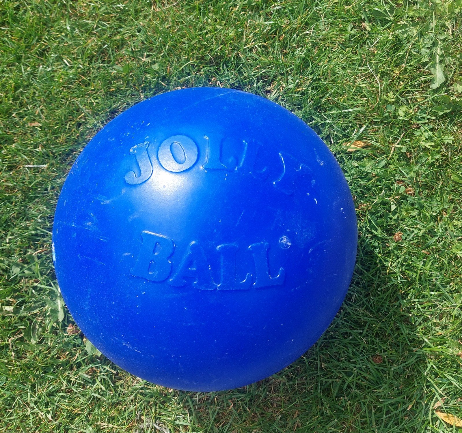 Jolly Ball ( zgan), Dieren en Toebehoren, Ophalen, Zo goed als nieuw