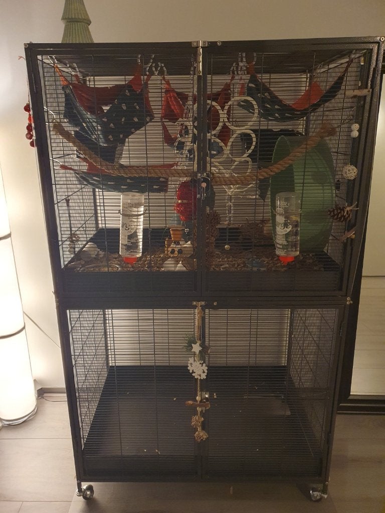 Keddoc Rattenkooi met graafbak en plexiglas wanden, Dieren en Toebehoren, Ophalen, Kooi, Gebruikt, Minder dan 75 cm