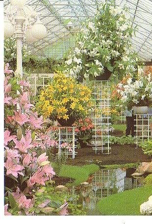 Ansichtkaart 	Lisse	Keukenhof, Verzenden, 1960 tot 1980, Ongelopen, Zuid-Holland