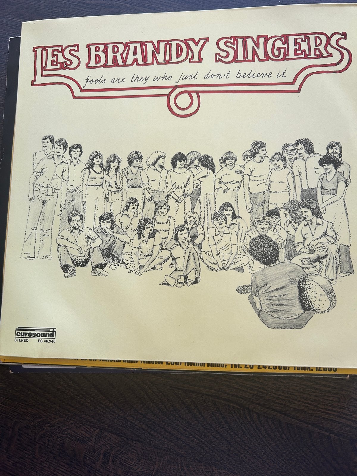 LP Les Brandy Singers - Fools Are They Who Just Don't Believ, Ophalen, LP, Gebruikt, Overige genres