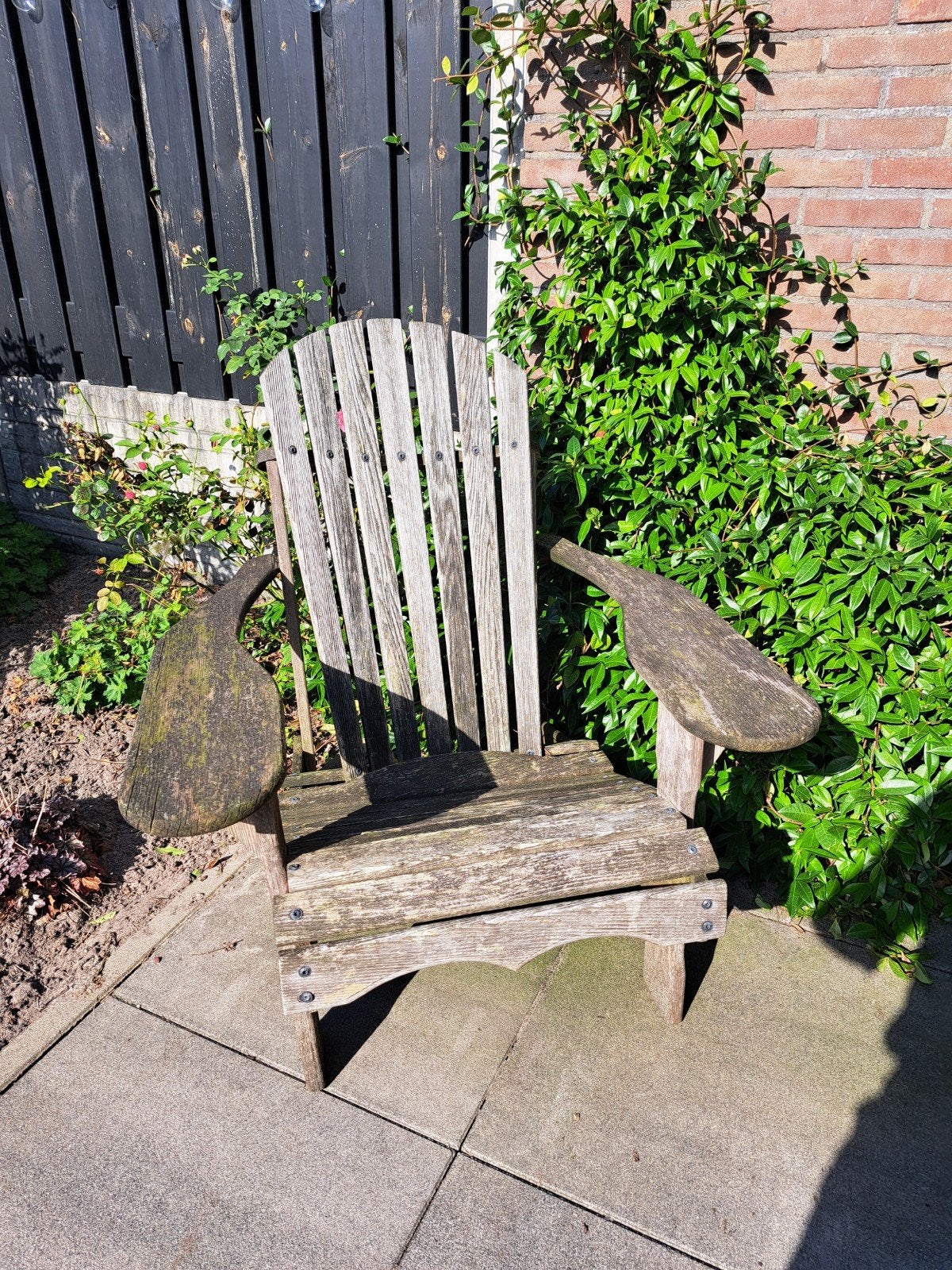Bear chairs van Western Red Cedar, Tuin en Terras, Ophalen, Gebruikt, Hout