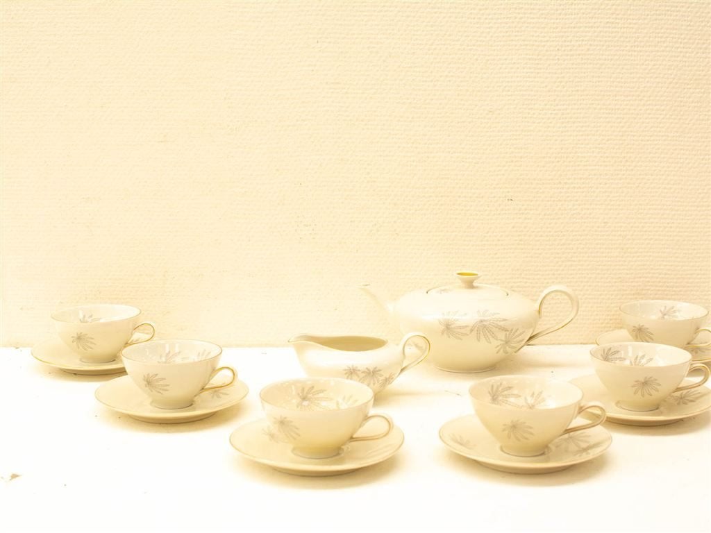 15 delig Z&Co tirschenrguth bavaria koffie servies 33134, Gebruikt, Ophalen of Verzenden, Bord(en), Overige stijlen