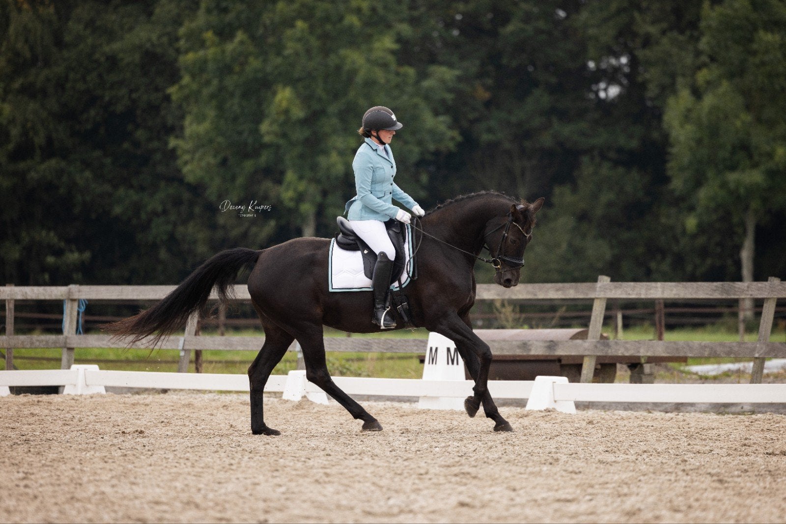 Unieke kans: Super chique talentvolle dressuur merrie, Dieren en Toebehoren, Paarden, Merrie, Met stamboom, M, Dressuurpaard