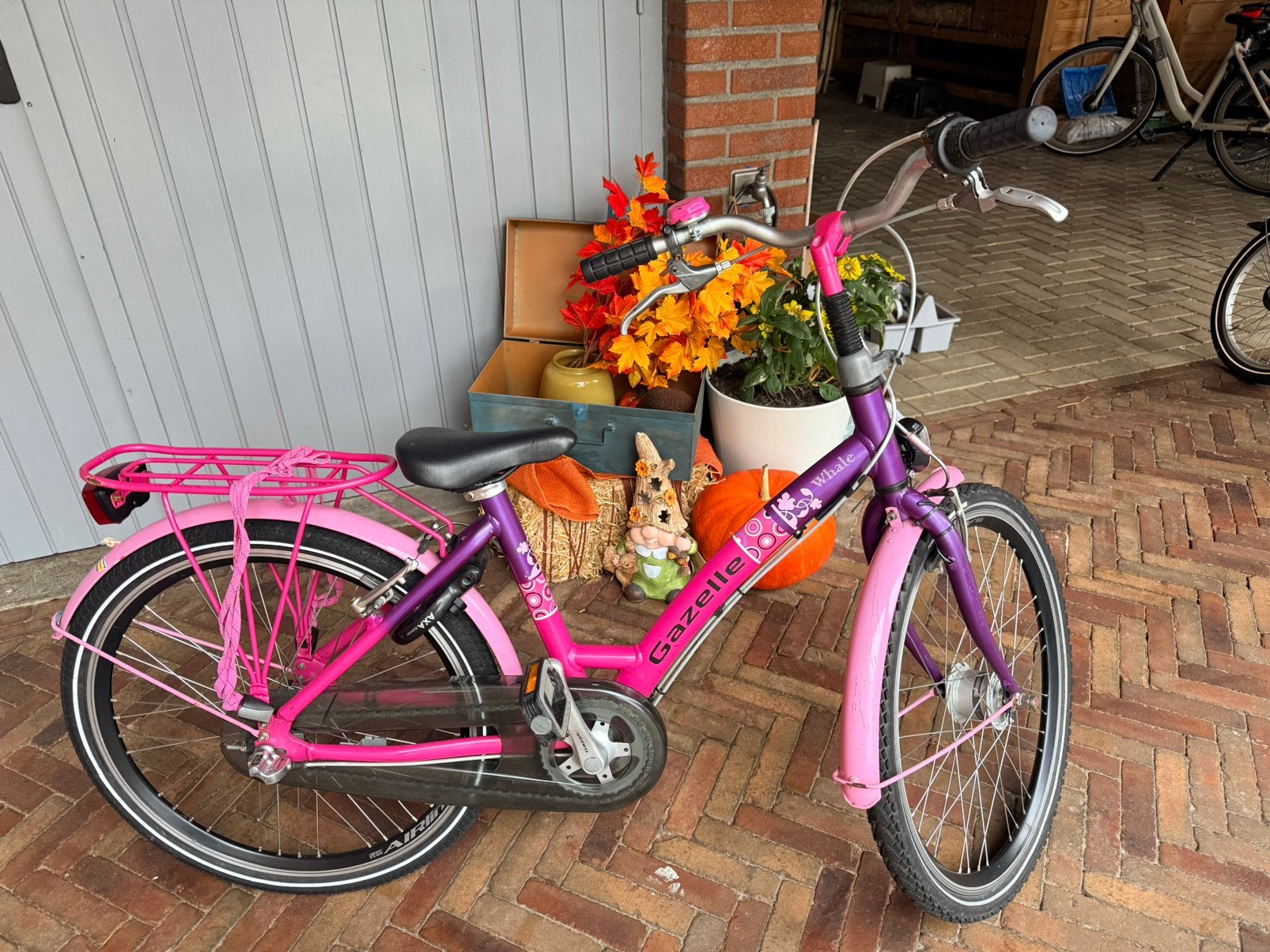 Gazelle whale 24 inch meisjes fiets, Ophalen, Terugtraprem, Handrem, Gebruikt