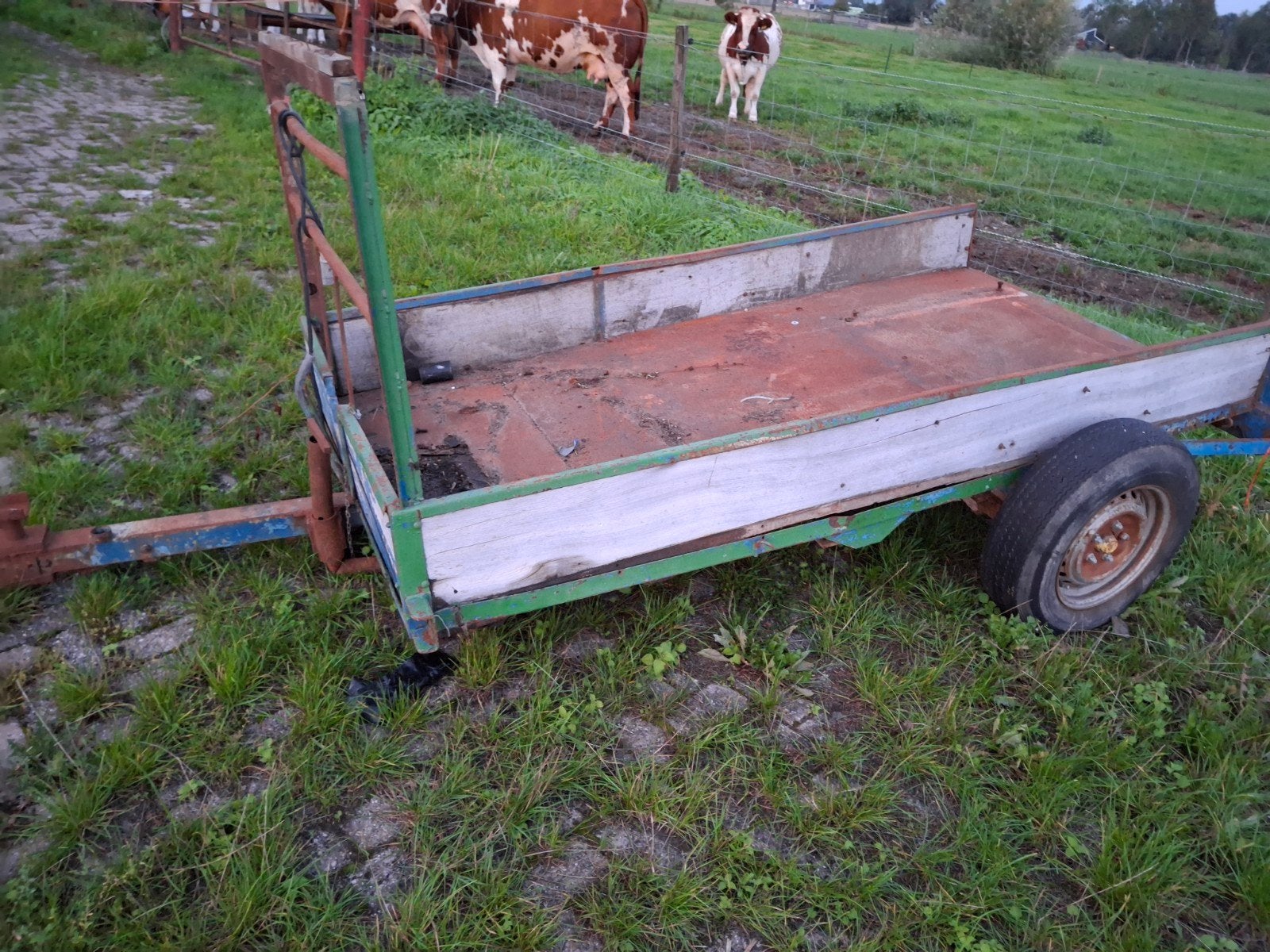 aanhanger 125x250 met stalen bodem, 100 liter of meer, Ophalen, Gebruikt, Transportkar