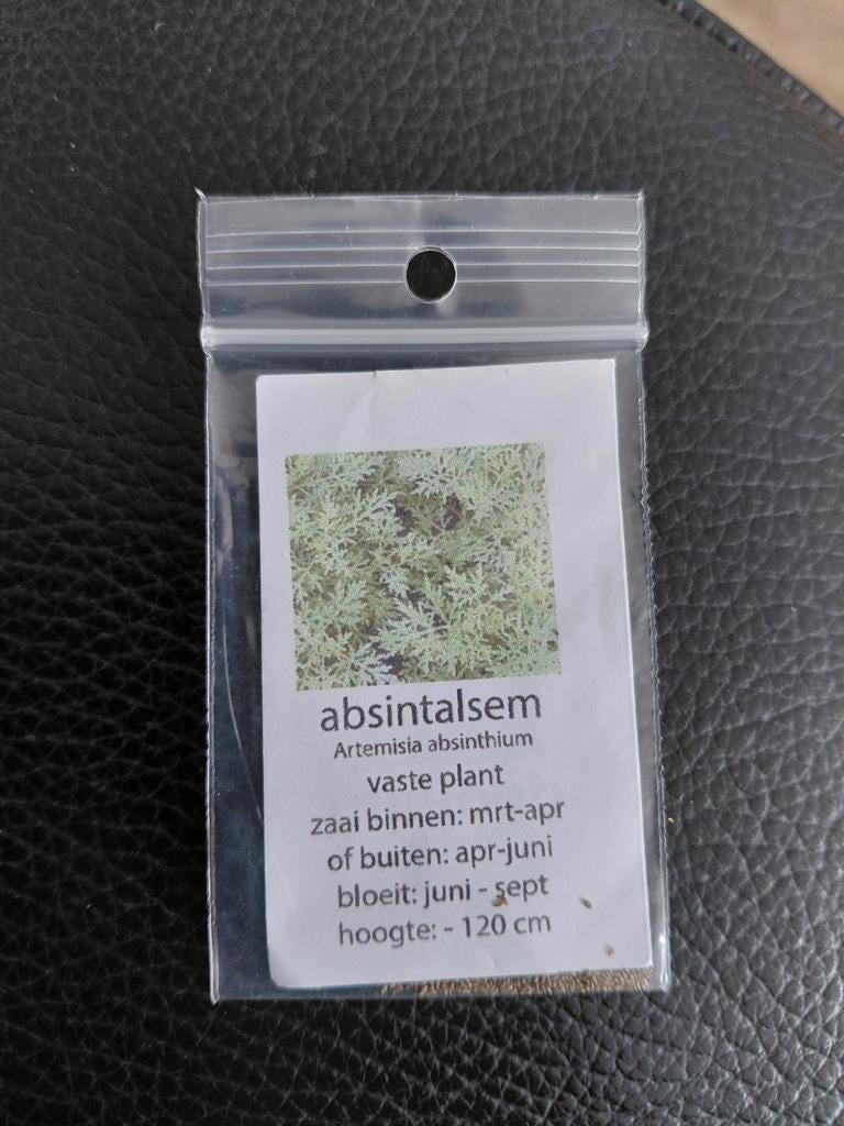 Zaden Absintalsem *Artemisia Absinthium*, Ophalen of Verzenden, Volle zon, Zaad