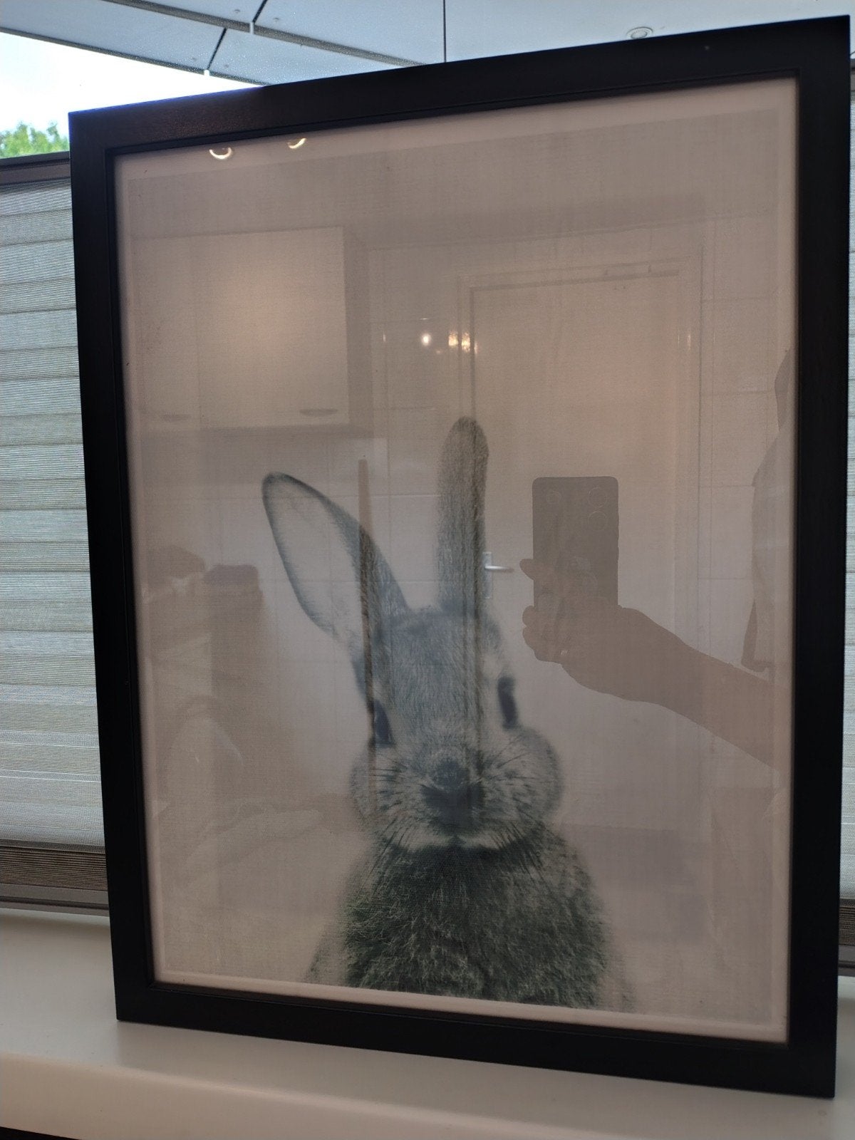 Fotolijst met konijn, Audio, Tv en Foto, Fotografie | Fotolijsten, Ophalen, Zo goed als nieuw, Zwart, Standaard fotolijst