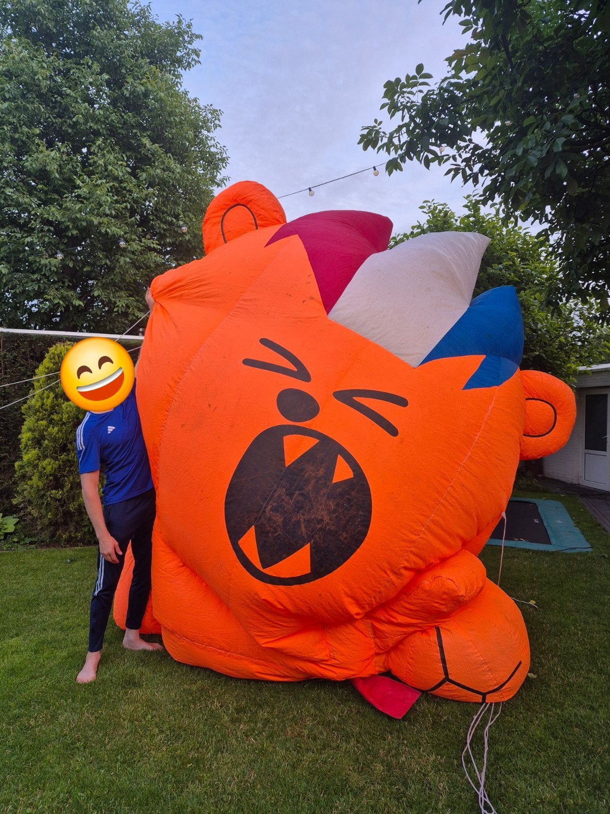 Oranje Gogo opblaasbeest, Ophalen of Verzenden