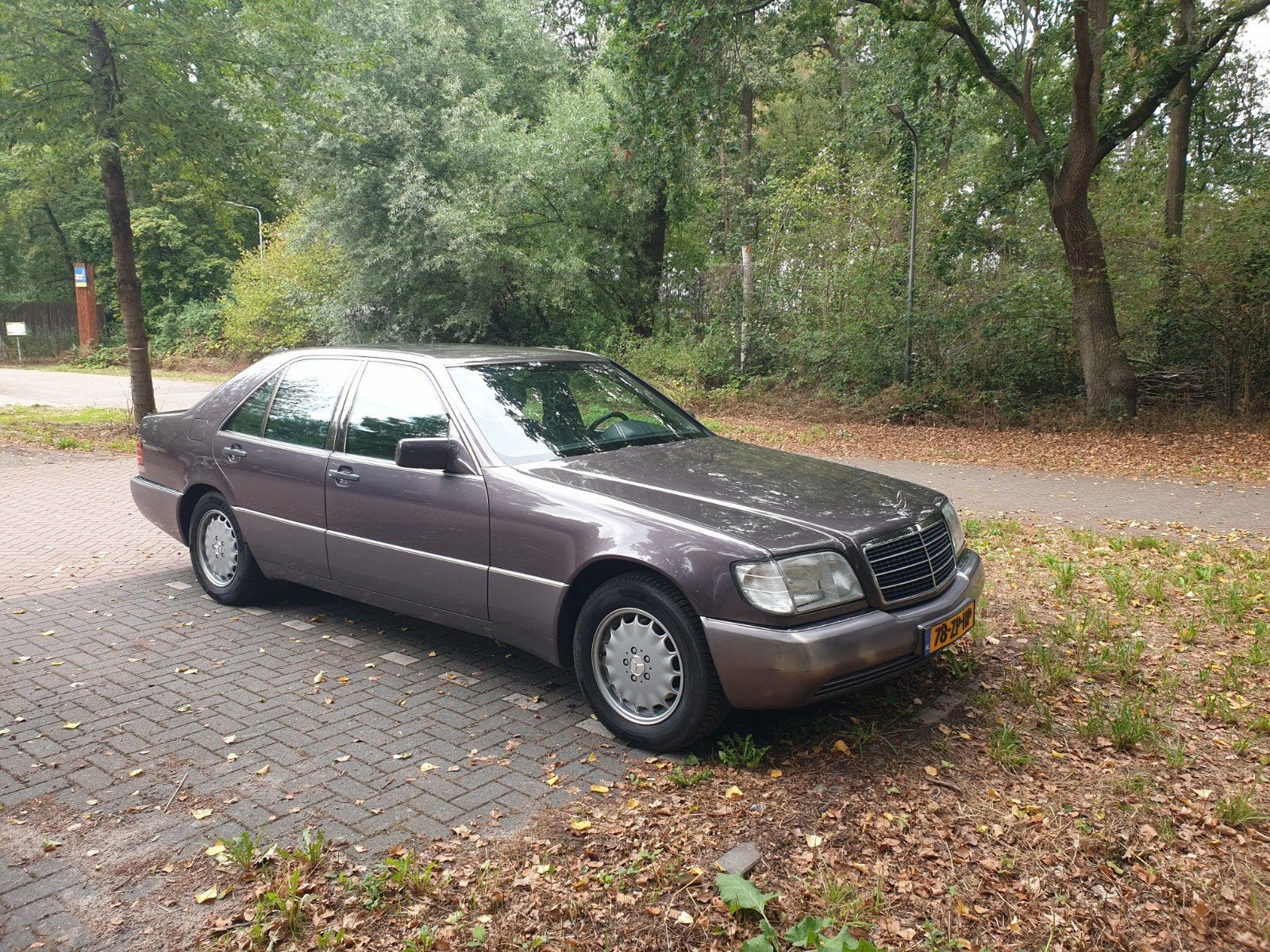 Mercedes-Benz W140 3.2 320 SE Bornit Paars kathedraal, Automaat, Achterwielaandrijving, Bruin, Particulier